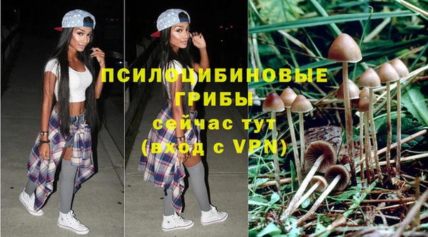 бошки Алексеевка