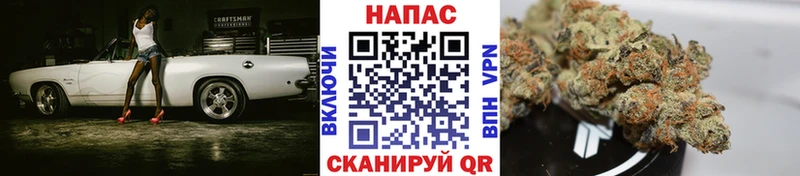 Шишки марихуана конопля  ОМГ ОМГ tor  Анапа 